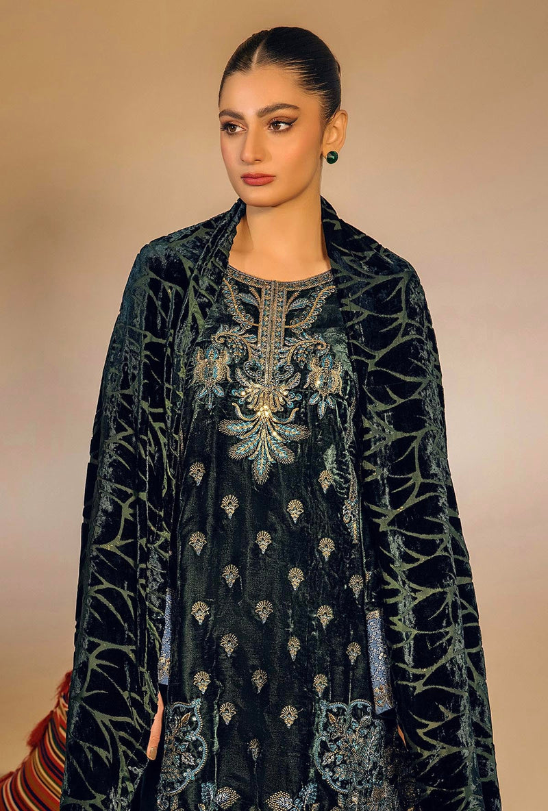 PLACHI EMBROIDERED